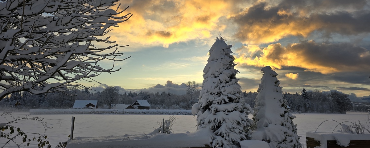 Aktuelles Bild