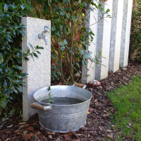 EggMue Wasserhan bearb